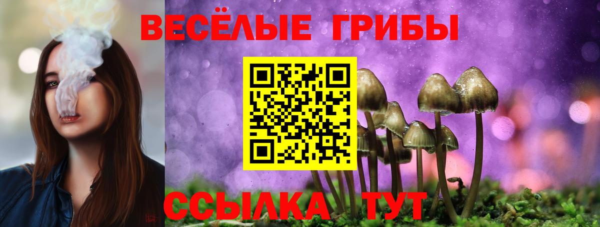 Галлюциногенные грибы ЛСД  Вход с VPN  купить закладку  Беслан 