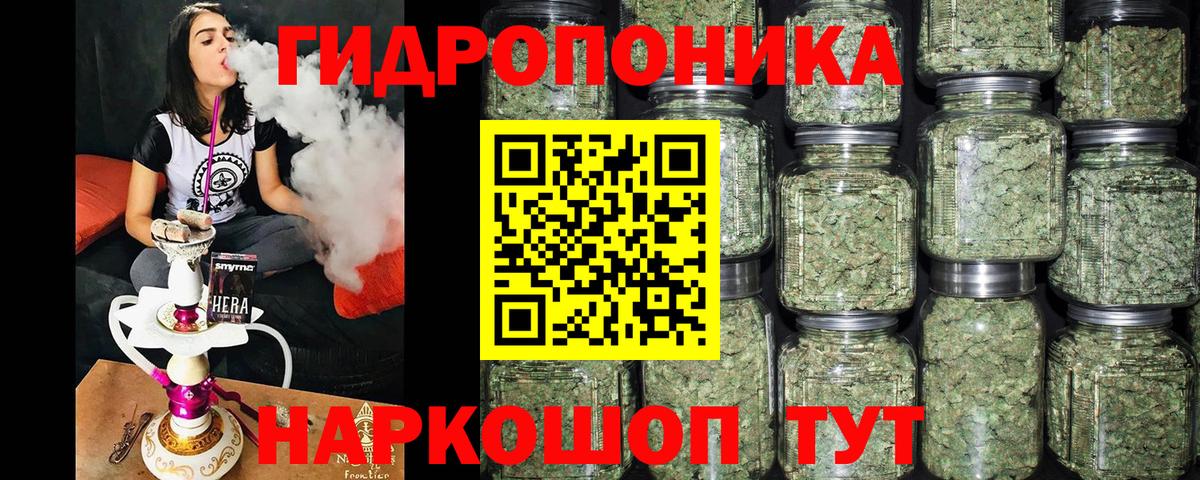 Бошки Шишки ГИДРОПОН Беслан